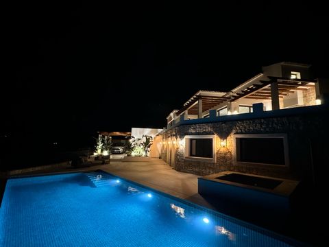 31ee63d1 0d5c 4cef 8341 A92f3e68ddc3