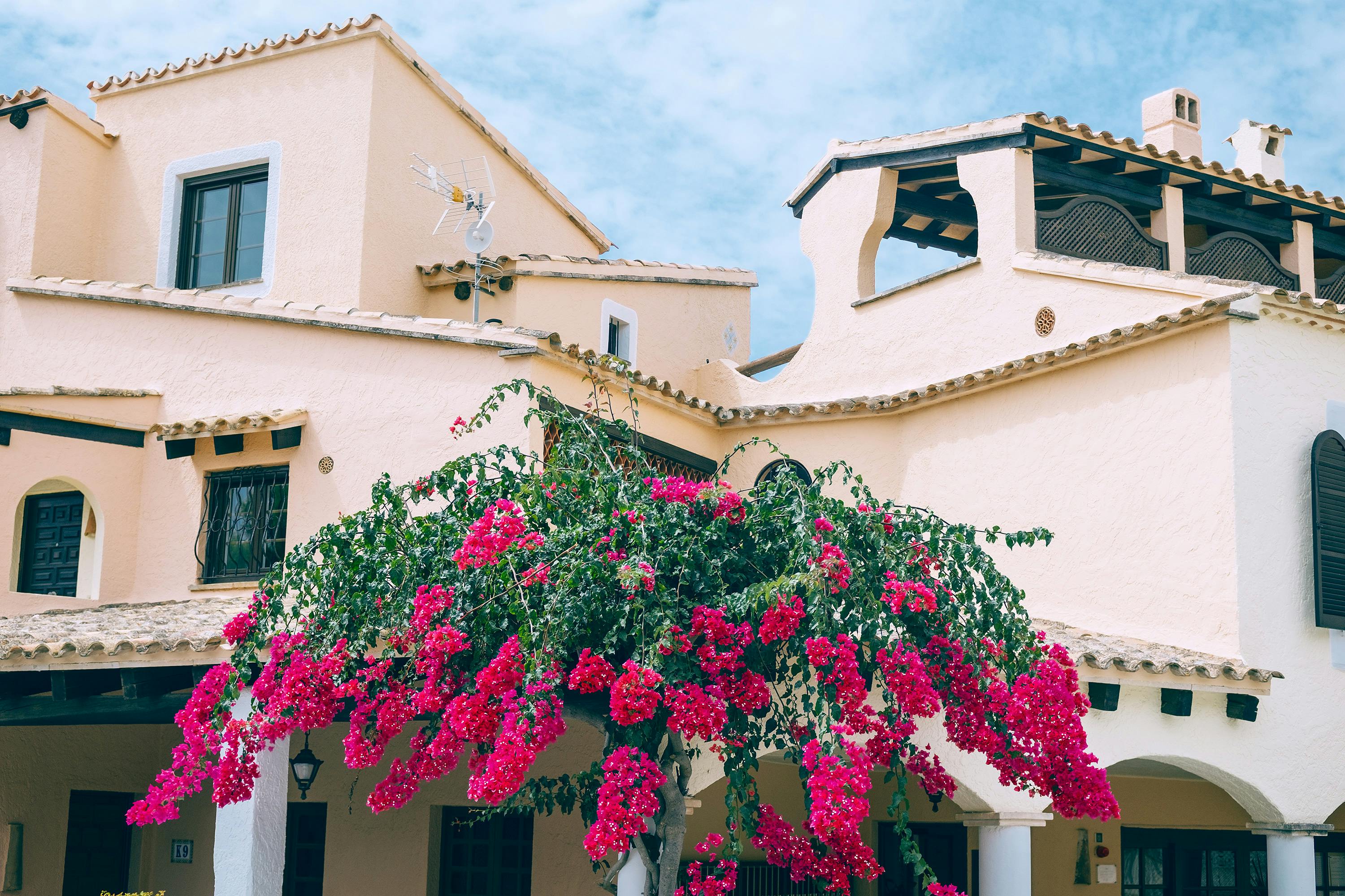 Pexels Orlovamaria 4947183