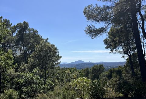 Tuin met uitzicht op Massif des Maures